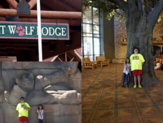 Great Wolf Lodge