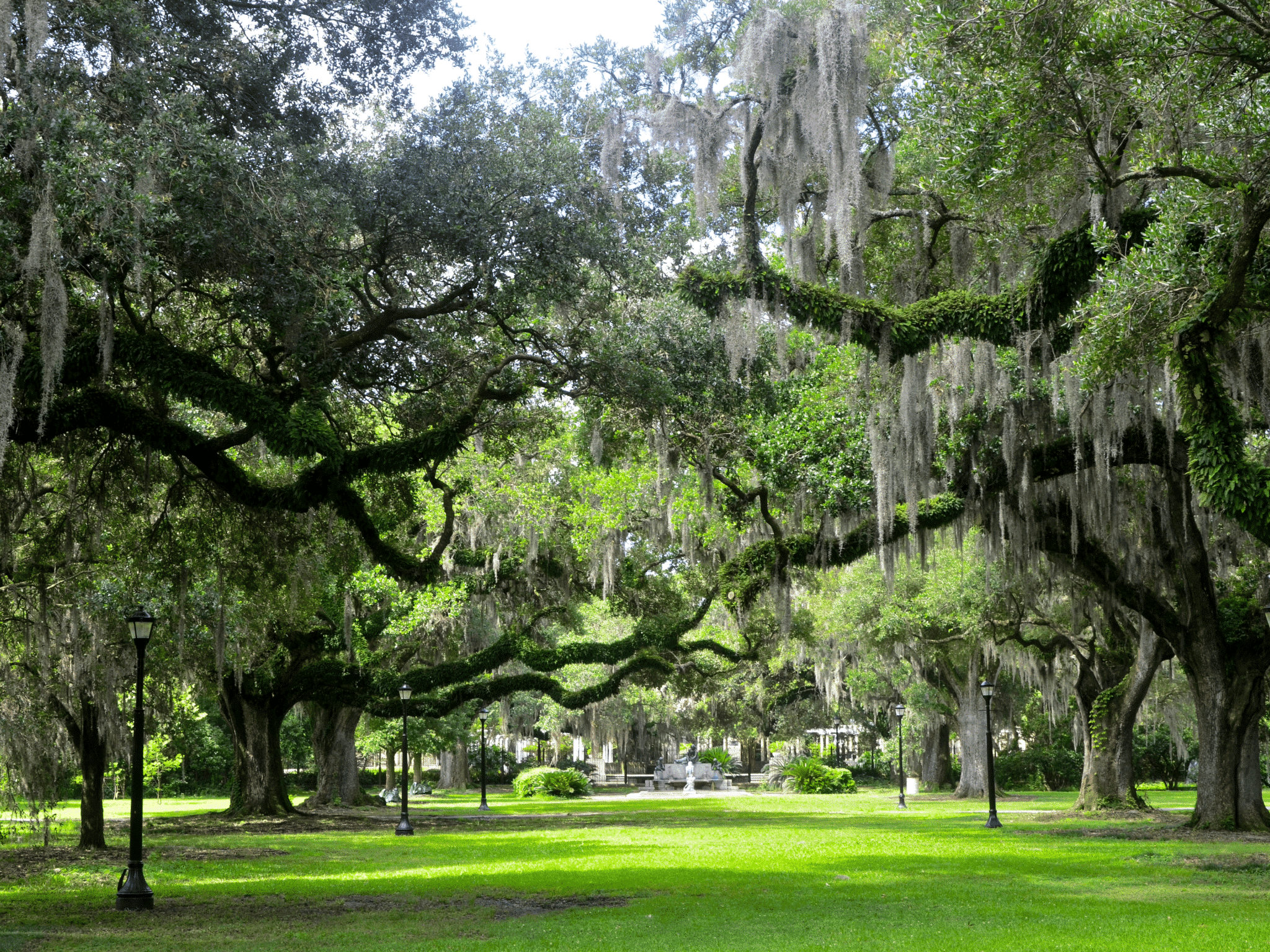 Audubon Zoo New Orleans