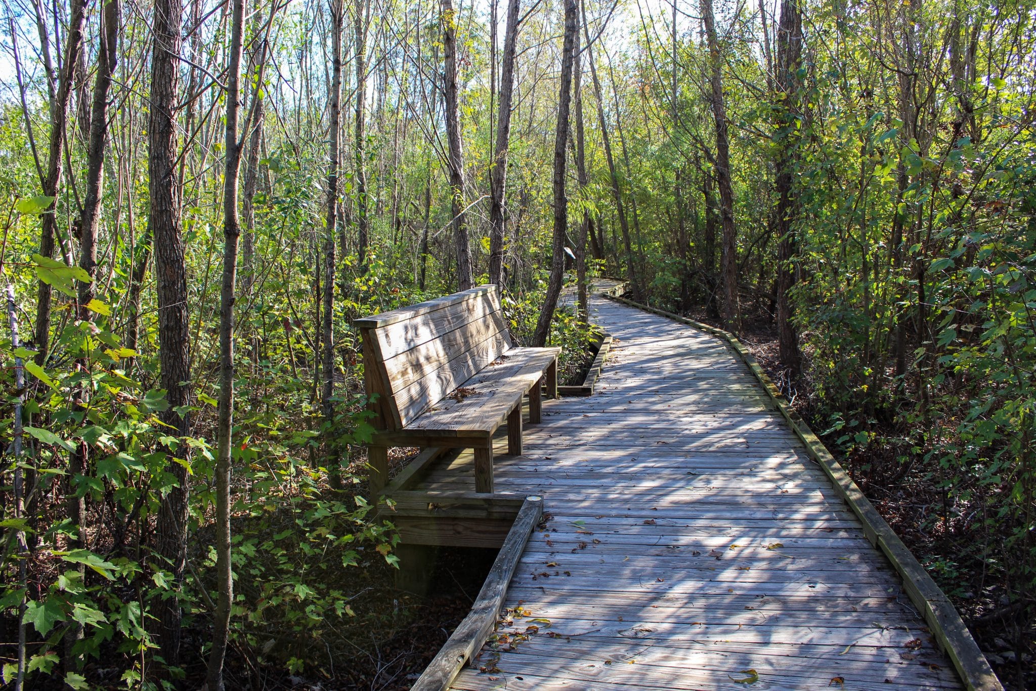 trails at the Audubon Nature Center New Orleans, LA Nature Trails 