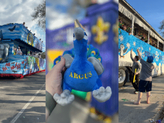 A collage of three photos from a Mardi Gras parade in Metairie, Louisiana: on the left, a large two-story Batman-themed float with "HA HA HA" text; in the center, a close-up of a hand holding a blue plush peacock named "Argus" in front of a purple fleur-de-lis background; and on the right, a blue "Chillin' with my Gnomies" float decorated with penguins as parade-goers reach up to catch beads.