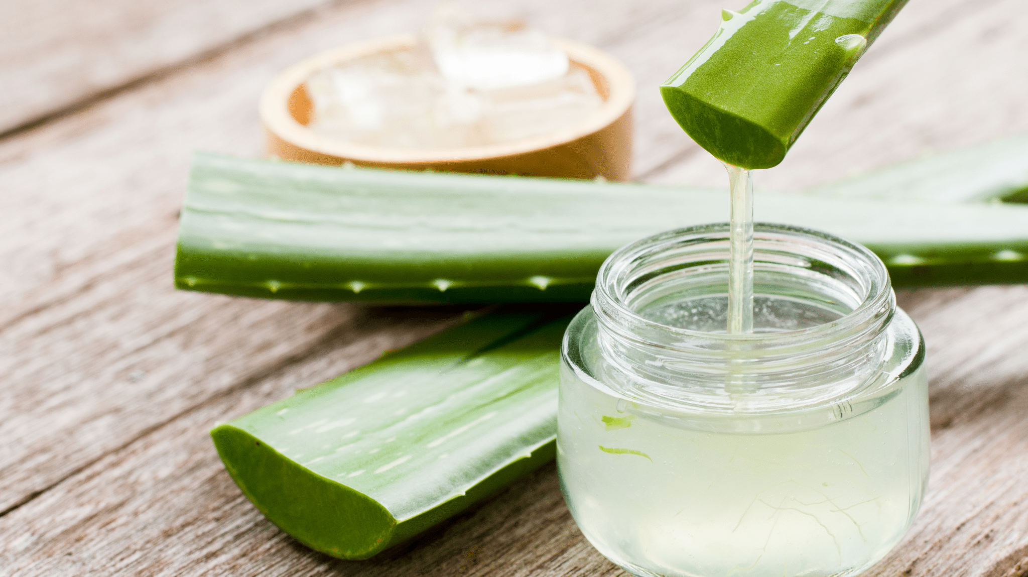 Aloe