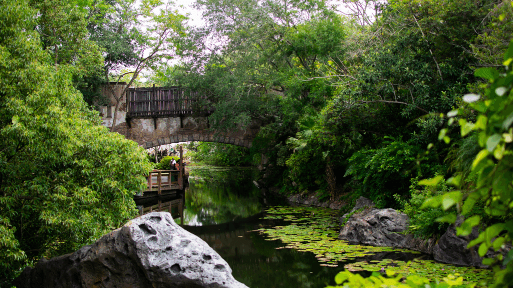 Best Quiet Places to Rest at Disney World: Hidden Spots for Tired Families (2025)