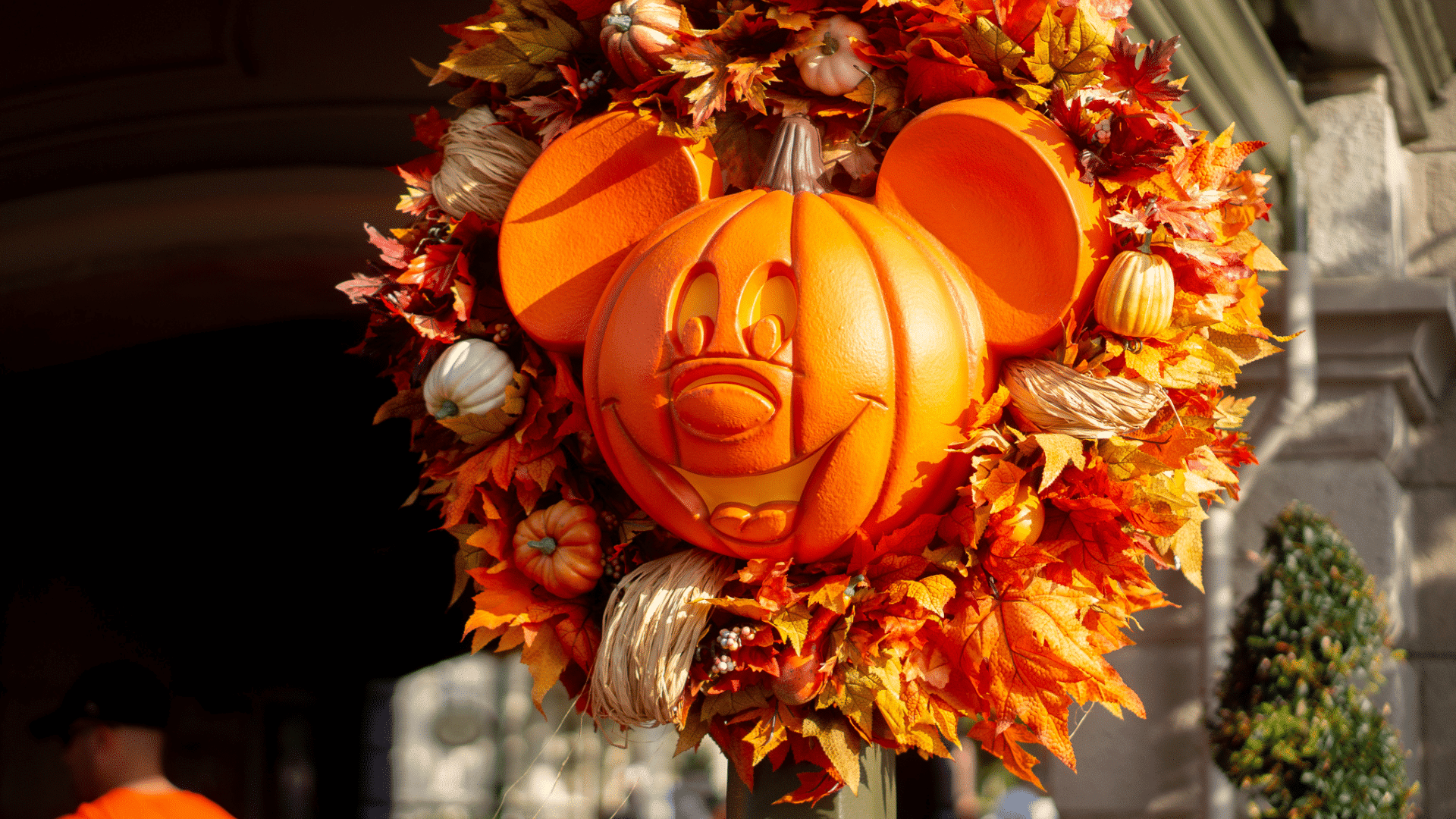 Fantastic Reasons To Visit Walt Disney World this Fall